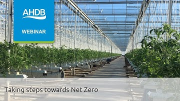 Taking steps towards Net Zero