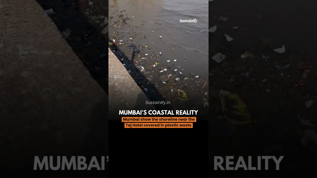Mumbai’s Iconic Taj Hotel, But a Troubling Shoreline #civicsense #news #cleanindia #indiareality