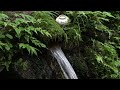 【自然音】天然水の落ちる音・自然音・癒し・リラクゼーション