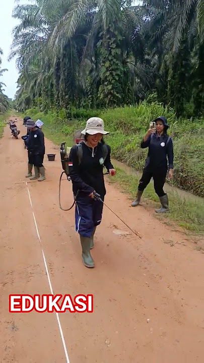 Kalibrasi alat semprot di perkebunan kelapa sawit #viralvideo #sawit