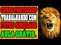 PhotoShop Para Serigrafia. Como Separar Cores De Fotos Para Simulados No Photoshop