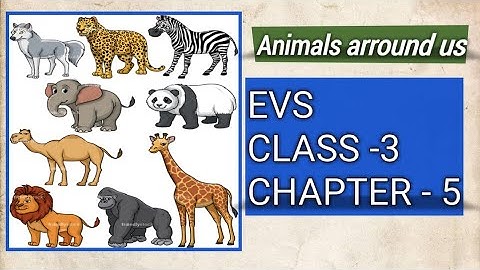 E V S class -3, Animals arround us (Chapter-5) in Hindi