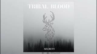 Tribal Blood - 'Mystery In The Air'