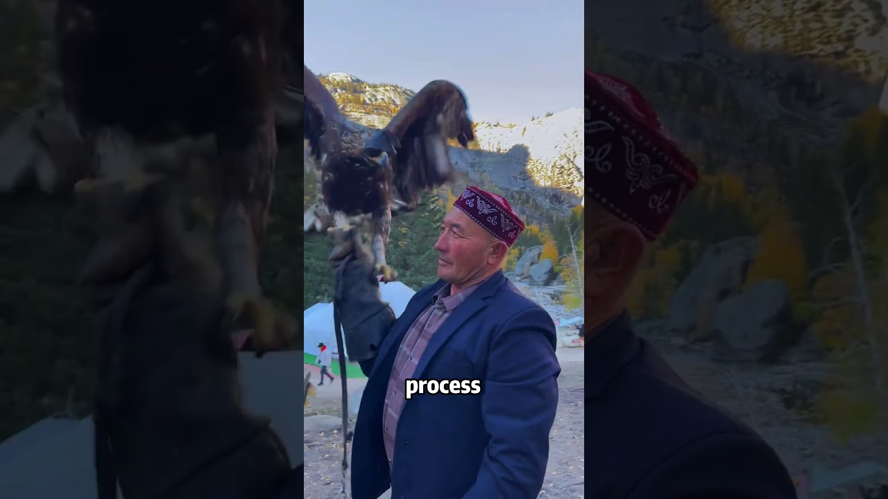 How to train an eagle? 