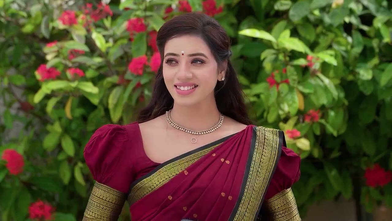 Karthigai Deepam | Ep - 717 | Webisode | Jan 18 2025 | Zee Tamil