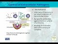 BT302 Immunology Lecture No 116