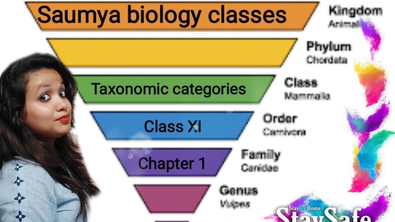 Biology Class 11 Chapter 1 Taxonomical Categories Part 3 YouTube biology-class-11-chapter-1-taxonomical-categories-part-3-youtube