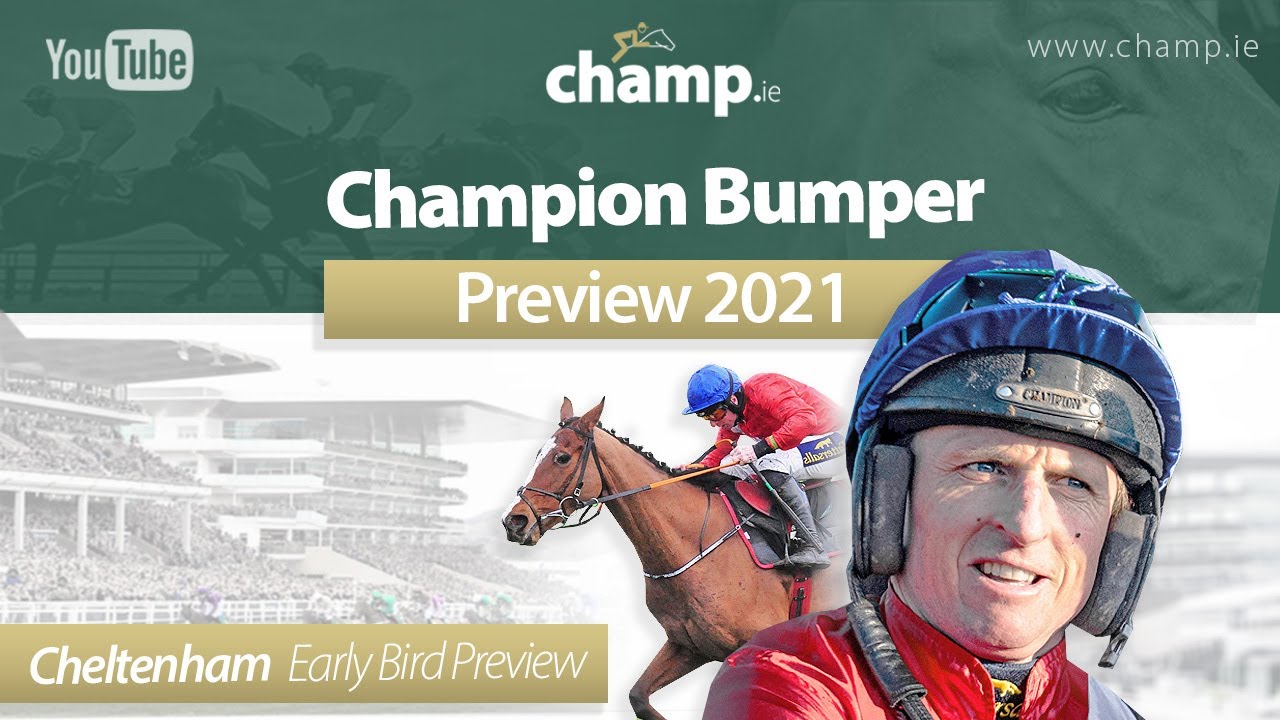 CHAMPION BUMPER 2021 PREVIEW Cheltenham Festival Preview Show AntePost Horse Racing 🏇