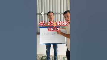 Câu Đố | Cá Gì Hình Tròn #nguyenbangvlog #dovui #dovuigiaitri #shortsvideo #meovat #iq