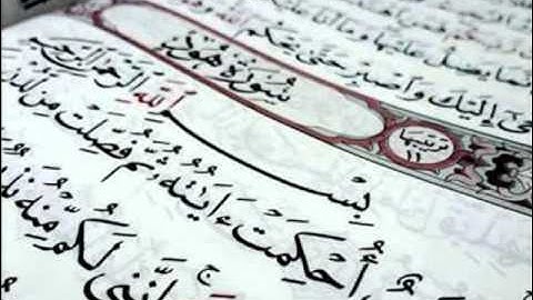 فواز الكعبي من سورة هود-ما أجمل كلام الرحمن!!