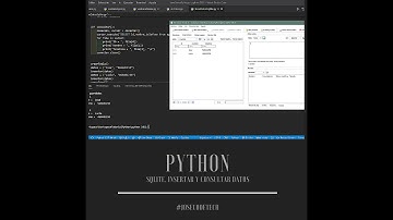 32 SQLite insertar y consultar datos con Python