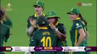 Women in Blue...New world champion 🏆🏆 #womenworldcup2025 #worldchampion2025 #womenworldcup2025final