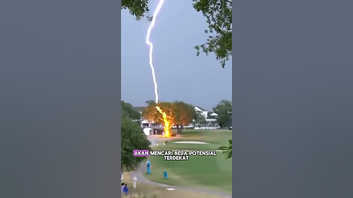 ⚡️ini alasan tak boleh dibawah pohon saat hujan petir⚡️