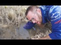 mud crab catch and cook