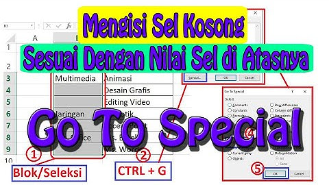 Cara Mengisi Sel Kosong Sesuai Dengan Nilai Sel di Atasnya
