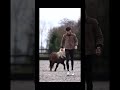 Doing tricks with my mini pony Bear! 🐻 🐴 🥰