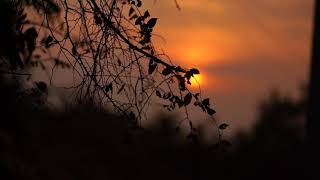 Cinematic Sunset - Slowmotion Free No Copyright Video