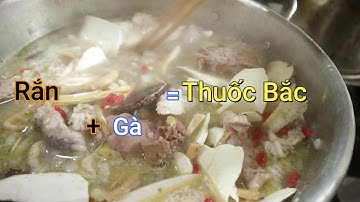 Xuân Núi Voi_TV| Lạ với Món Rắn, Gà hầm Thuốc Bắc. Và cái kết