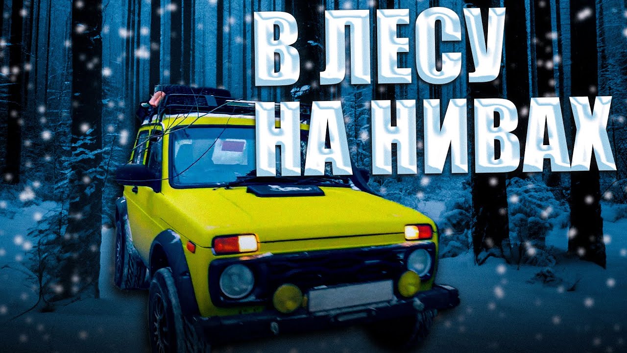 На Нивах по зимнему лесу. Маршрут Минжуль. Застряли в грязи. Влог - YouTube