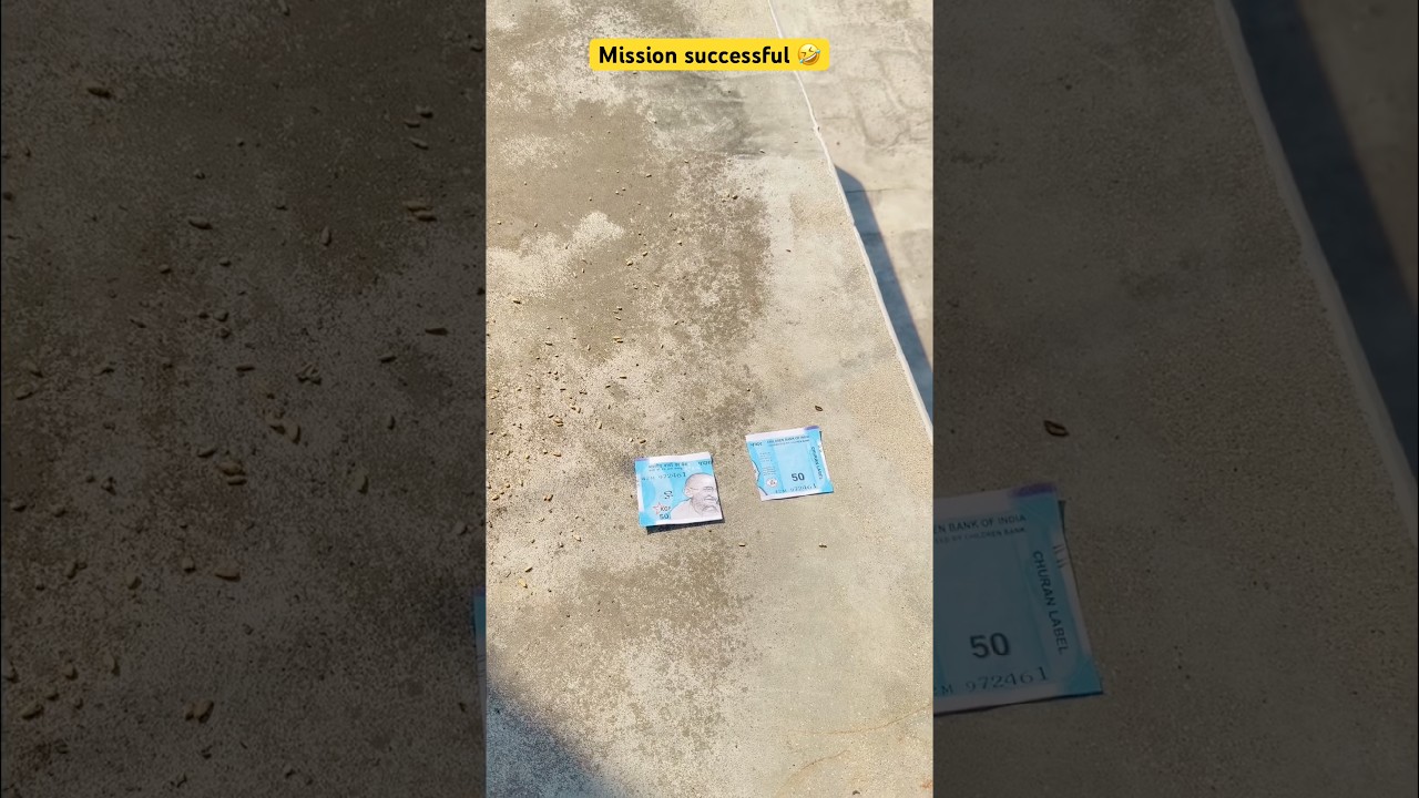Mission successful 🤣 #comedy #funnyvideo #funny #youtubeshorts #funnyshorts