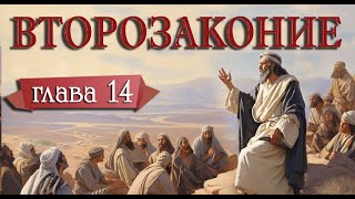 Утренняя молитва 08.05.2024. Чтение Библии. Второзаконие, глава 14