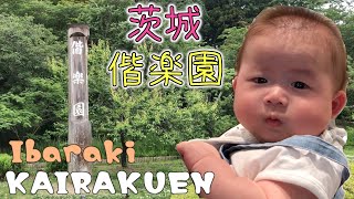 【Vlog】４ヶ月赤ちゃんと行く茨城 水戸 偕楽園｜Kairakuen in Mito, Ibaraki, Japan