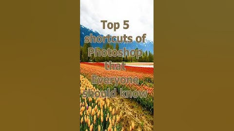 top 5 shortcúts every editor know⚡#shorts #photoshop #edit