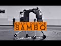 TECHNIQUES SAMBO - CEINTURE ORANGE