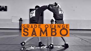 TECHNIQUES SAMBO - CEINTURE ORANGE