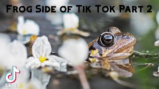 Frog Side of Tik Tok Part 2