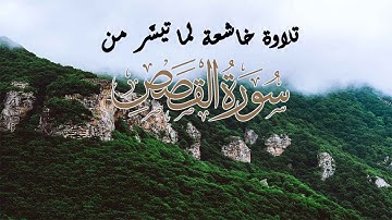 Surah Al-qasas | قرائة هادئة بصوت جميل القارئ رزكار الكردي سورة القصص