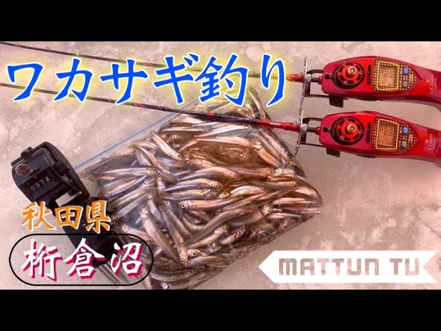 ワカサギ 秋田へ氷上ワカサギ釣りに行ってみた Youtube