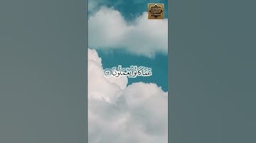 وقل إنى أنا النذير المبين - القارئ هزاع البلوشى
