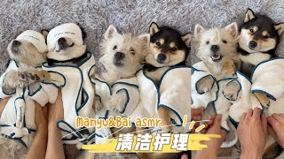 曼玉Manyu&小白Bai每周清洁Spa Asmr上线！你的电子小狗来啦！