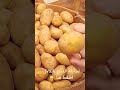 أسرار تخزين البطاطس طول السنة وأفضل وقت للتخزين