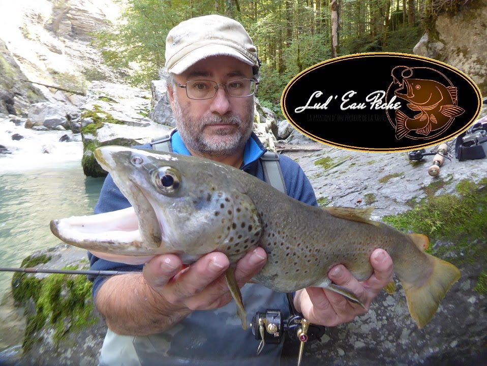 Deux grosses truites de torrent avec Hervé Charpenel - Haute-Savoie