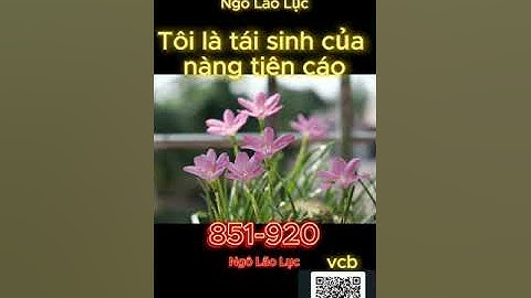 [TỔNG HỢP FULL] Tôi là tái sinh của nàng tiên cáo 851-920