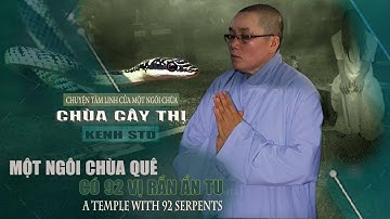 Chuyện Tâm Linh Chùa Cây Thị Nơi 92 Vị Rắn Ẩn Tu