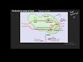 CAS12 AND CAS13 IN DIAGNOSIS