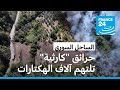 حرائق كارثية تلتهم آلاف الهكتارات في اللاذقية السورية والأمم المتحدة تدعو لدعم دولي عاجل حرائق كارثية تلتهم آلاف الهكتارات في اللاذقية السورية والأمم المتحدة تدعو لدعم دولي عاجل