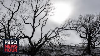 Is climate change accelerating the risk of disease spreading from animals to humans?