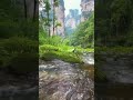 amazing 😍 #nature #beautiful #beautifulplace #waterfall #viralvideo #views#travel#public#viralvideos