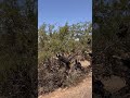 More content: https://www.instagram.com/straycat.moto?igsh=MXJkMWtwZzQ5NzV5Ng%3D%3D&amp;utm_source=qr