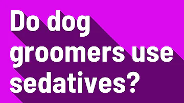 How do groomers keep dogs calm?