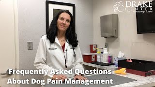 Frequently Asked Questions About Dog Pain Management