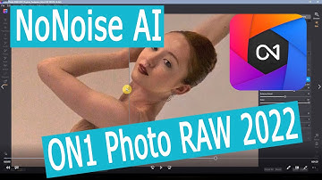 ON1 Photo Raw 2022 NoNoise AI