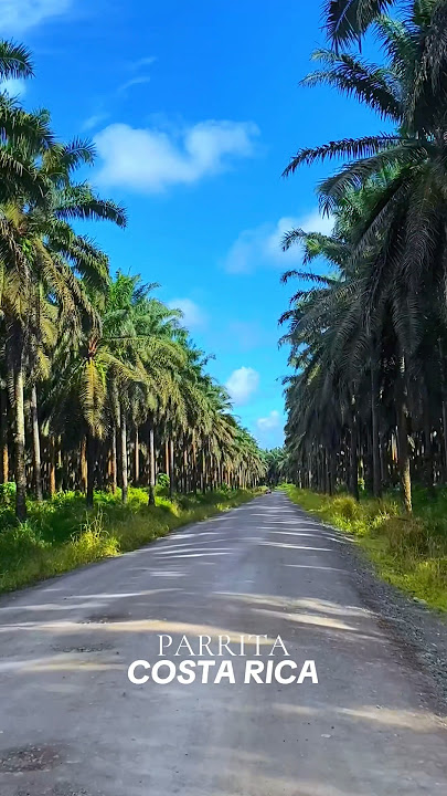 Parrita COSTA RICA #costarica #nature #travesia #travel #rutasypaisajes #turismo #viajar