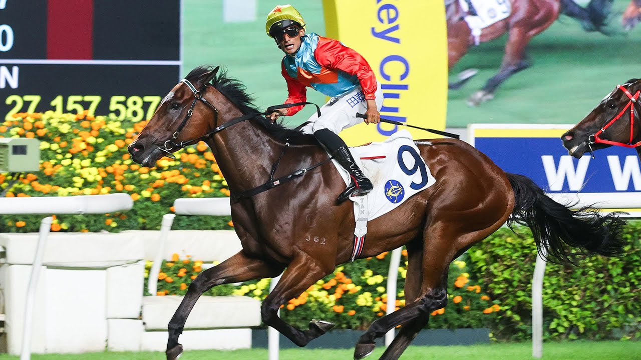 香港競馬の新星・カーインライジング（Ka Ying Rising）｜香港競馬大全