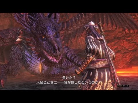 Dragons Dogma Online 3 3 Op Evil Dragon Fight Youtube