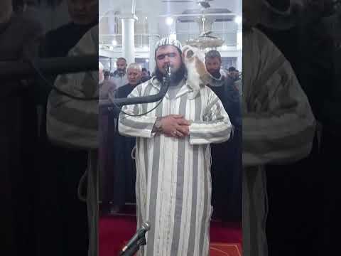 قطة تقفز على شيخ أثناء أداء صلاة التراويح